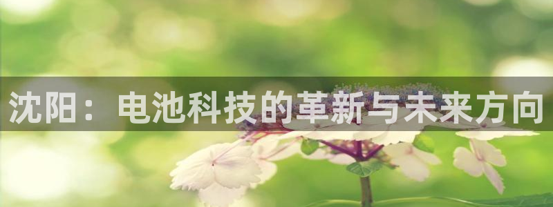 k豆钱包官网平台