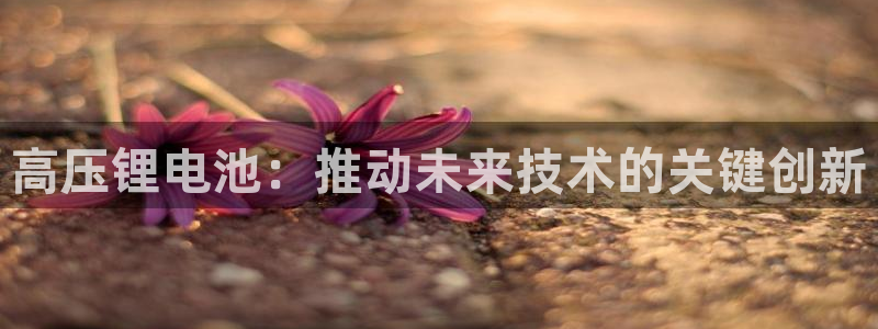 您好,k豆钱包下