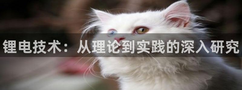 k豆钱包app