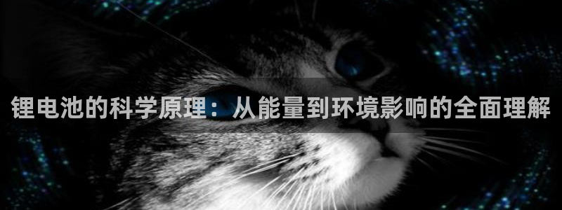 k豆钱包里面搬砖怎么玩