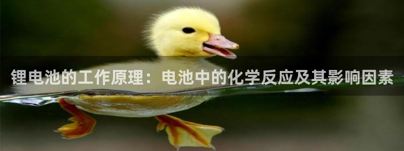 最新k豆钱包