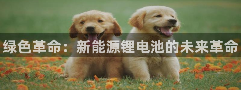 k豆钱包官网下载