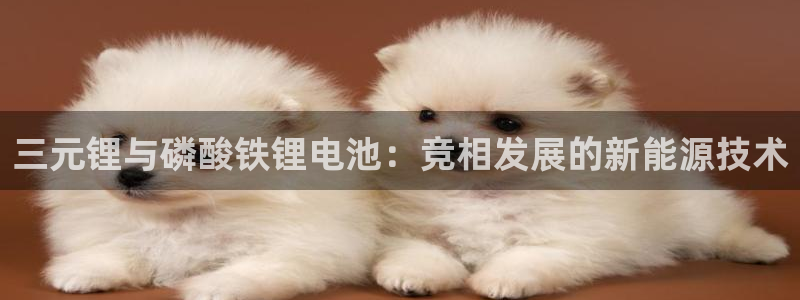 k豆钱包最新版本