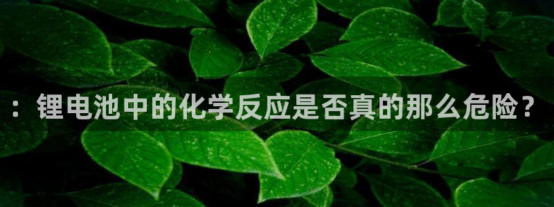 k豆pay钱包官网