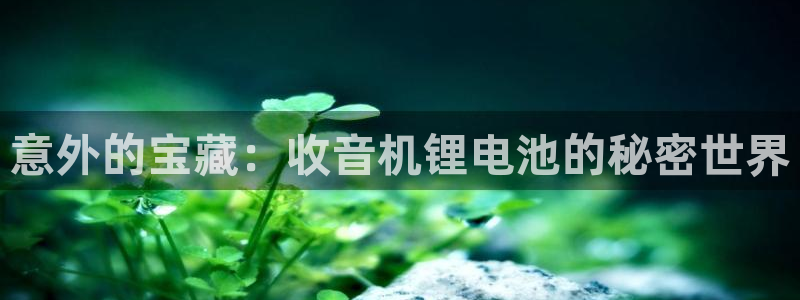 k豆钱包