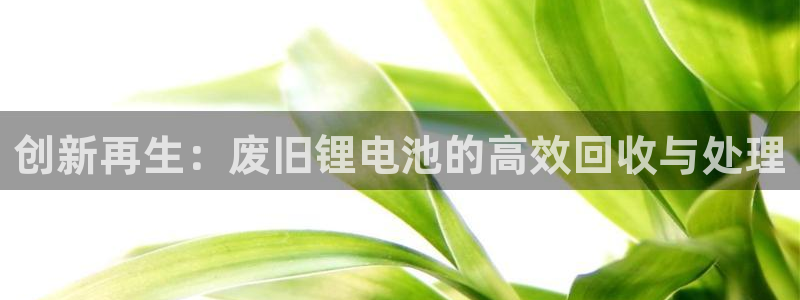 k豆钱包app苹果