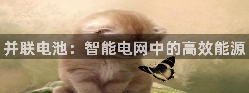 k豆钱包可靠吗