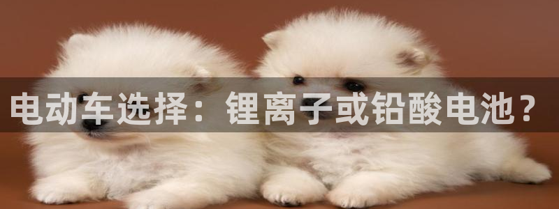 k豆钱包手机版下载