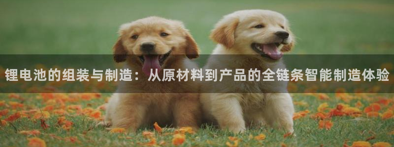 k豆钱包和ag钱包哪个好用