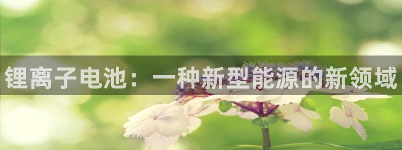 k豆钱包官网平台