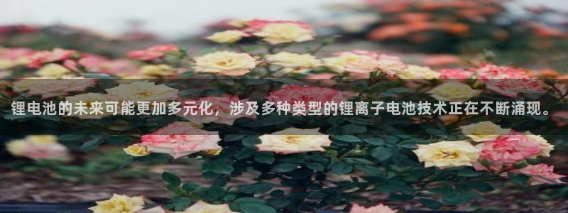 k豆钱包怎么样