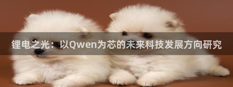 k豆钱包代付
