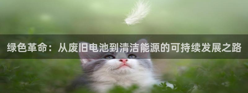 k豆钱包网址