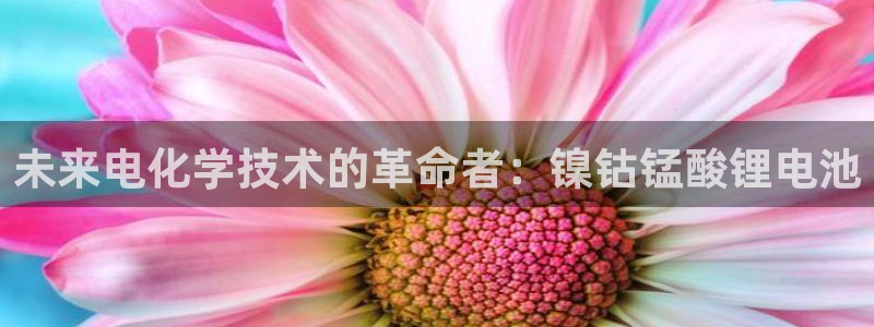 365k豆钱包：未来电化学技术的革命者：镍钴锰酸锂电池