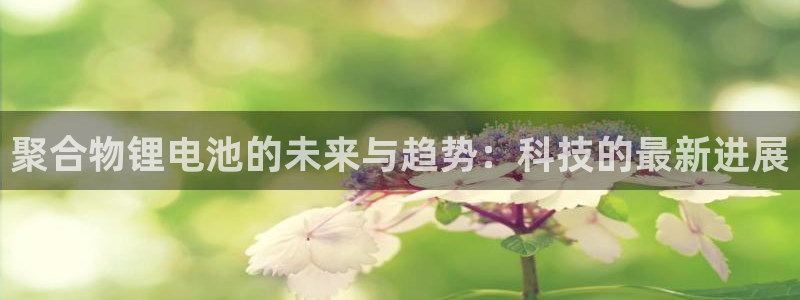 k豆钱包下载官网