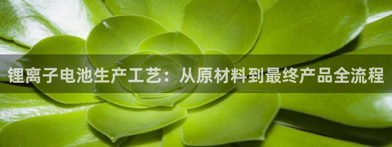 k豆钱包怎么样?：锂离子电池生产工艺：从原材料到最终产品全流程