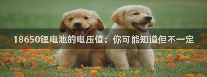 k豆pay钱包