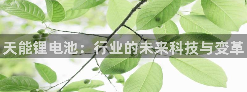 下载k豆钱包安装到手机