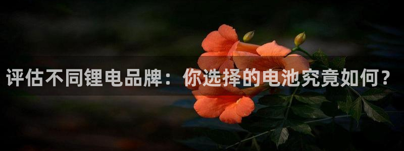 k豆钱包和ag钱包哪个好用：评估不同锂电品牌：你选择的电池究竟如何？
