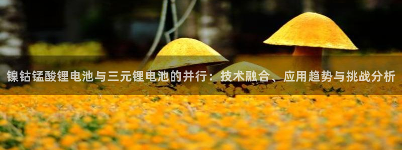 怎么下载k豆钱包：镍钴锰酸锂电池与三元锂电池的并行：技术融合、应用趋势与挑战分析