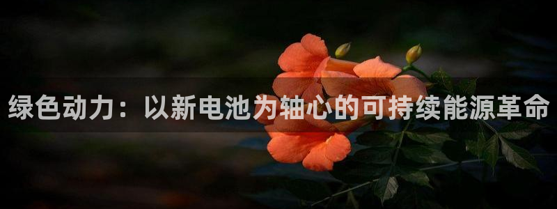 k豆支付钱包下载安装