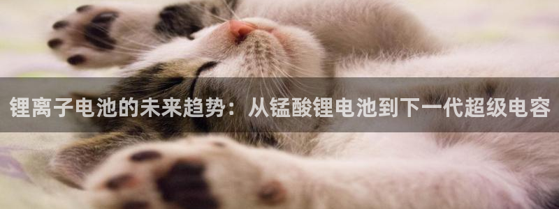 k豆钱包下载入口