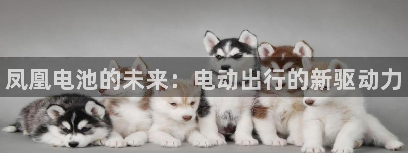 k 豆钱包下载：凤凰电池的未来：电动出行的新驱动力