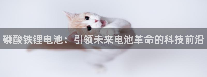 k豆钱包最新版本