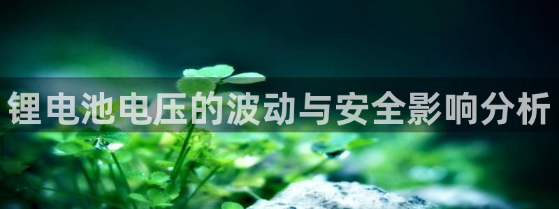 k豆钱包怎么样：锂电池电压的波动与安全影响分析