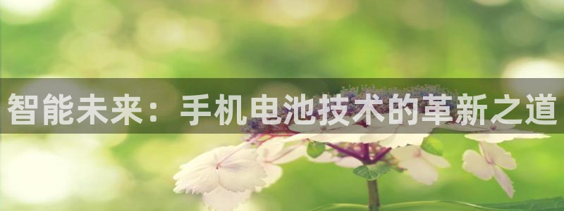 k豆钱包是合法的吗