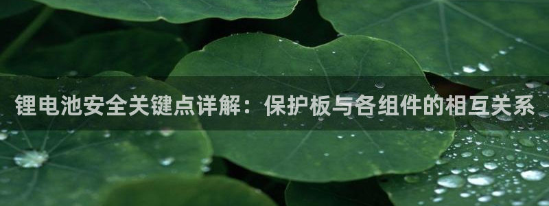 k豆钱包有啥用：锂电池安全关键点详解：保护板与各组件的相互关系