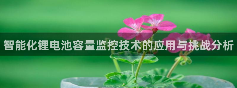 k豆钱包正确下载方式：智能化锂电池容量监控技术的应用与挑战分析