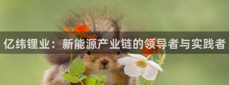 k豆钱包提现：亿纬锂业：新能源产业链的领导者与实践者