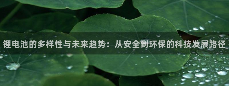 k豆钱包怎么提现：锂电池的多样性与未来趋势：从安全到环保的科技发展路径