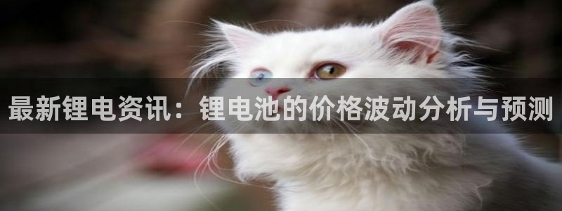 k豆钱包和ag钱包哪个好用：最新锂电资讯：锂电池的价格波动分析与预测