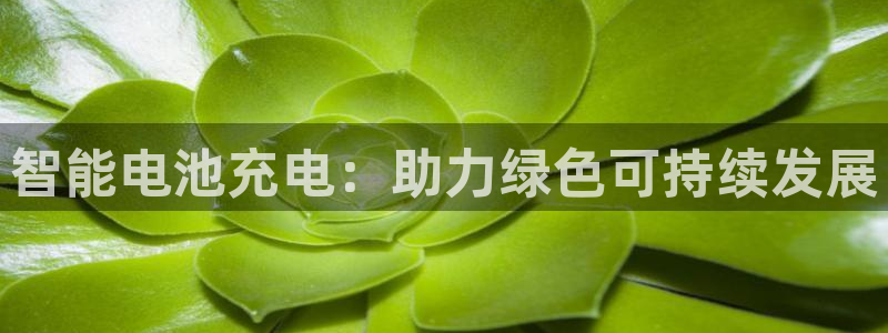 k豆钱包app：智能电池充电：助力绿色可持续发展