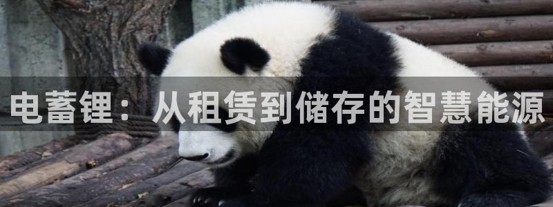 k豆钱包里