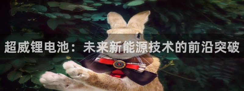 k豆钱包最新版：超威锂电池：未来新能源技术的前沿突破