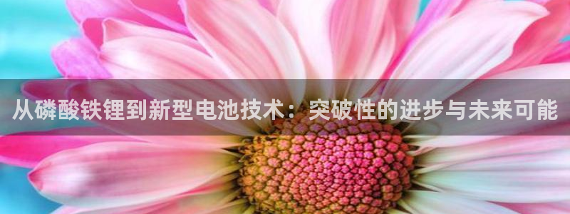 k豆钱包卖k豆犯法吗：从磷酸铁锂到新型电池技术：突破性的进步与未来可能