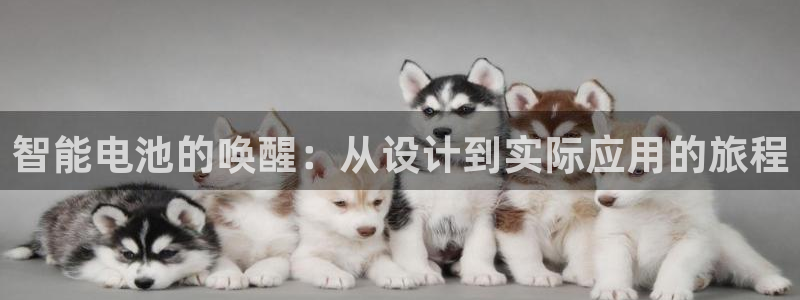 下载k豆钱包并安装：智能电池的唤醒：从设计到实际应用的旅程