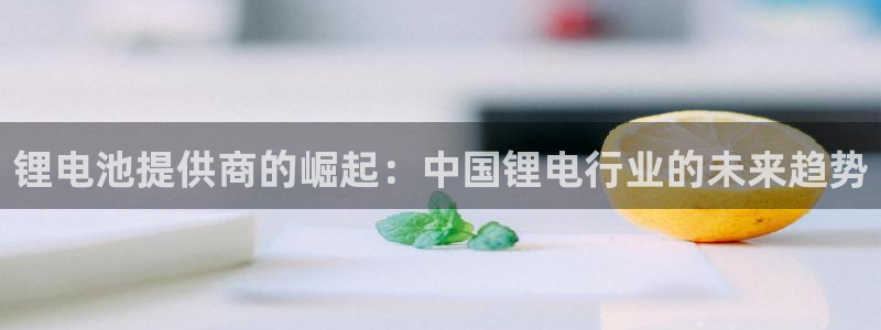 k豆钱包是什么软件：锂电池提供商的崛起：中国锂电行业的未来趋势