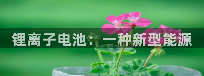 k豆钱包登录：锂离子电池：一种新型能源