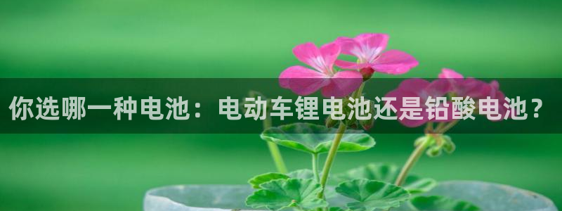 k豆钱包手机版下载：你选哪一种电池：电动车锂电池还是铅酸电池？