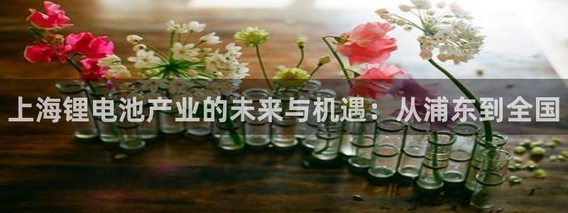 登陆k豆钱包：上海锂电池产业的未来与机遇：从浦东到全国