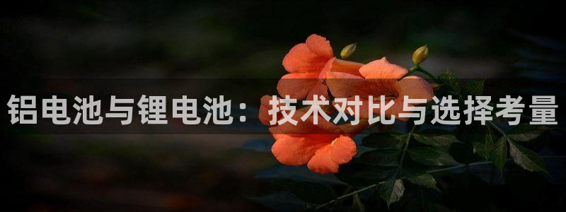 怎么下载k豆钱包：铝电池与锂电池：技术对