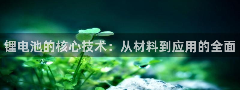 k豆钱包下载入口：锂电池的核心技术：从材料到应用的全面
