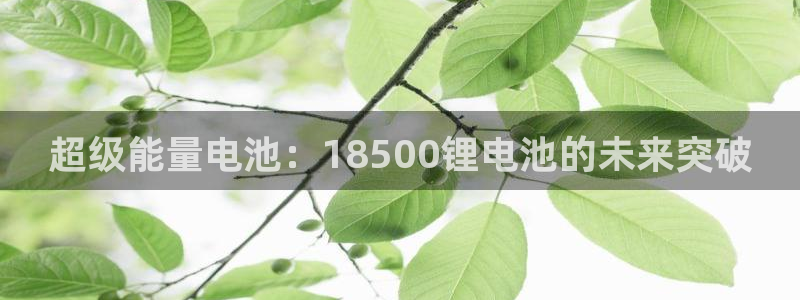 k豆钱包地址怎么写：超级能量电池：18500锂电池的未来突破