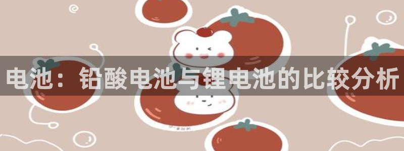 k豆钱包下载入口：电池：铅酸电池与锂电池