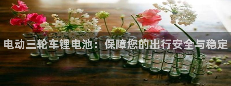 k豆钱包是什么软件：电动三轮车锂电池：保