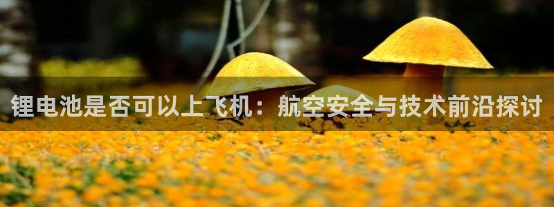 k豆钱包下载地址：锂电池是否可以上飞机：航空安全与技术前沿探讨